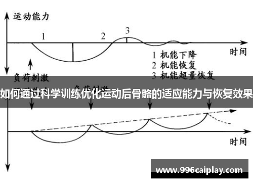 如何通过科学训练优化运动后骨骼的适应能力与恢复效果